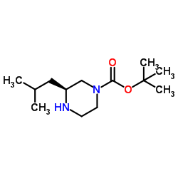 (S)-1-BOC-3-异丁基哌嗪图片