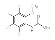 N-(2,3,4,5-tetrachloro-6-methoxy-phenyl)acetamide结构式
