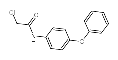2-氯-N-(4-苯氧基苯基)乙酰胺图片