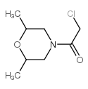 2-氯-1-(2,6-二甲基-吗啉-4-基)-乙酮结构式