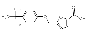5-(4-TERT-BUTYLPHENOXYMETHYL)FURAN-2-CARBOXYLICACID Structure