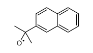 [2-(2-Naphthyl)-2-propanyl]oxidanyl结构式