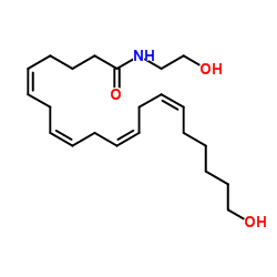 20-HETE Ethanolamide structure