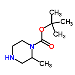 N-1-Boc-2-甲基哌嗪结构式
