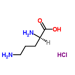 D-Ornithine monohydrochloride structure