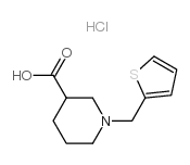 1-噻吩-2-甲基哌啶-3-羧酸盐酸盐结构式