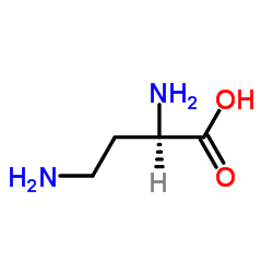 d-2,4-二氨基丁酸结构式