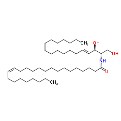 C24:1 神经酰胺 (d18:1/24:1 (15Z))结构式
