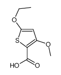 2-Thiophenecarboxylicacid,5-ethoxy-3-methoxy-(9CI)结构式