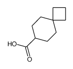 螺环[3.5]壬烷-7-羧酸结构式
