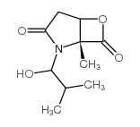 乳酸菌素β-内酯结构式
