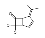 (+/-)-7,7-dichloro-4-(1-methylethylidene)bicyclo[3.2.0]hept-2-en-6-one Structure