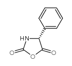 (R)-4-苯基氧氮杂环戊烷-2,5-二酮结构式
