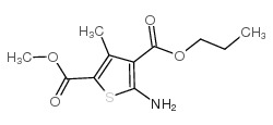 4-丙基-5-氨基-3-甲基噻吩-2,4-二羧酸-2-甲酯结构式