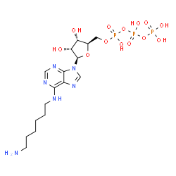 N(6)-aminohexyladenosine triphosphate结构式