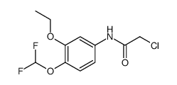 2-CHLORO-N-(4-DIFLUOROMETHOXY-3-ETHOXY-PHENYL)-ACETAMIDE Structure