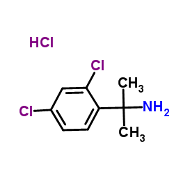 2-(2,4-二氯苯基)丙基-2-胺盐酸盐结构式