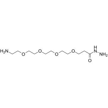 H2N-PEG4-Hydrazide Structure