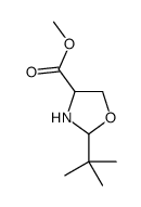 methyl 2-tert-butyloxazolidine-4-carboxylate Structure