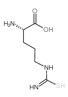 thioarginine Structure