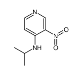 3-nitro-N-(propan-2-yl)pyridin-4-amine结构式