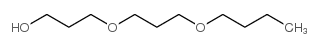 DI(PROPYLENE GLYCOL) BUTYL ETHER picture