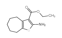 2-氨基-5,6,7,8-四氢-4H-环庚烷并[b]噻吩-3-羧酸乙酯结构式