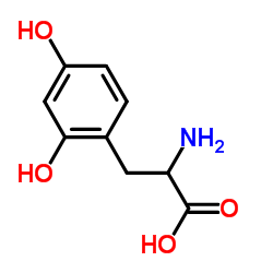 2,4-Dihydroxy-D-Phenylalanine Structure