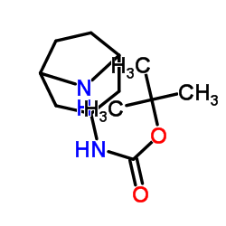 内-8-氮杂双环[3.2.1]辛-3-基氨基甲酸叔丁酯结构式