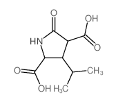 5-oxo-3-propan-2-yl-pyrrolidine-2,4-dicarboxylic acid结构式