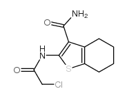 2-(2-氯乙酰基氨基)-4,5,6,7-四氢苯并[b]噻吩-3-羧酸胺结构式