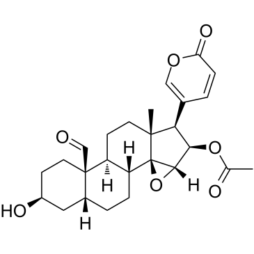 19-Oxocinobufagin Structure