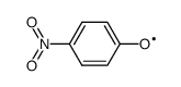 4-nitro-phenyloxyl结构式