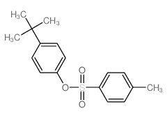 1-methyl-4-(4-tert-butylphenoxy)sulfonyl-benzene结构式
