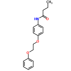 N-[4-(2-Phenoxyethoxy)phenyl]butanamide结构式