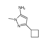 1H-Pyrazol-5-amine,3-cyclobutyl-1-methyl- Structure