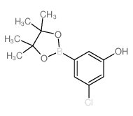 3-氯-5-(4, 4, 5, 5-四甲基-1, 3, 2-二氧硼杂环戊烷-2-基)苯酚图片