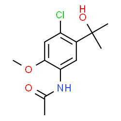 N- [4-氯-5-(1-羟基-1-甲基乙基)-2-甲氧基苯基]乙酰胺结构式