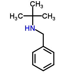 N-叔丁基苄胺结构式