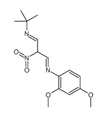 N-tert-butyl-N'-(2,4-dimethoxyphenyl)-2-nitropropane-1,3-diimine Structure