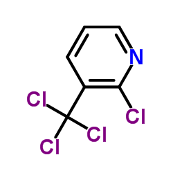 2-氯-3-三氯甲基吡啶结构式