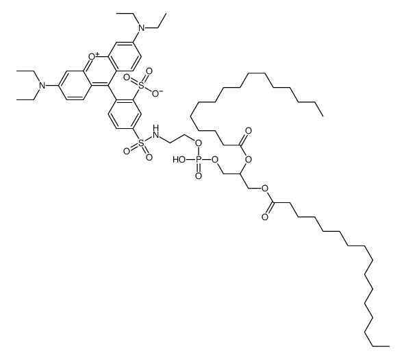 N-(lissamine-rhodamine B sulfonyl)-1,2-dipalmitoylphosphatidylethanolamine picture