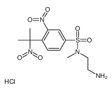 N-(2-aminoethyl)-N-methyl-3-nitro-4-(1-methyl-1-nitroethyl)benzenesulfonamide结构式