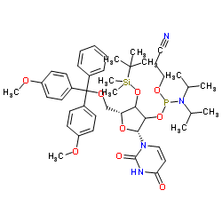 3'-O-TBDMS-rU 亚磷酰胺单体结构式