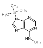 9H-Purin-6-amine, N-methyl-9-(trimethylsilyl)-结构式