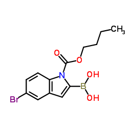 N-Boc-5-溴吲哚-2-硼酸结构式
