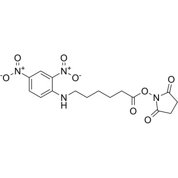 6-(2,4-二硝基苯胺基)己酸 N-琥珀酰亚氨基酯结构式