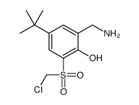 2-(aminomethyl)-4-tert-butyl-6-(chloromethylsulfonyl)phenol结构式