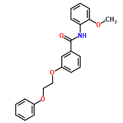 N-(2-Methoxyphenyl)-3-(2-phenoxyethoxy)benzamide结构式
