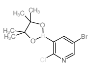 5-溴-2-氯吡啶-3-硼酸频哪酯结构式